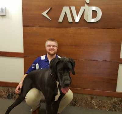 AVID's Boston dog friendly offices